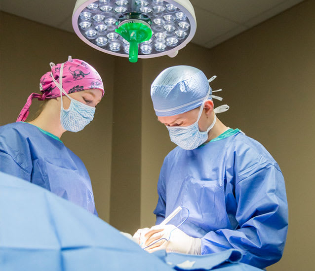 Surgical Service | Arkansas Veterinary Specialists & Emergency | Little Rock, Arkansas Veterinary Surgery